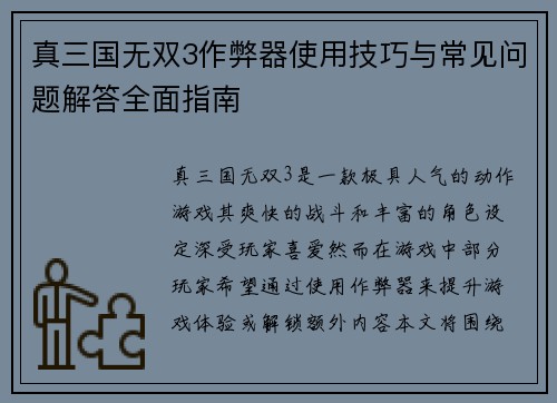 真三国无双3作弊器使用技巧与常见问题解答全面指南