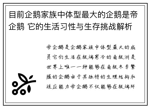目前企鹅家族中体型最大的企鹅是帝企鹅 它的生活习性与生存挑战解析